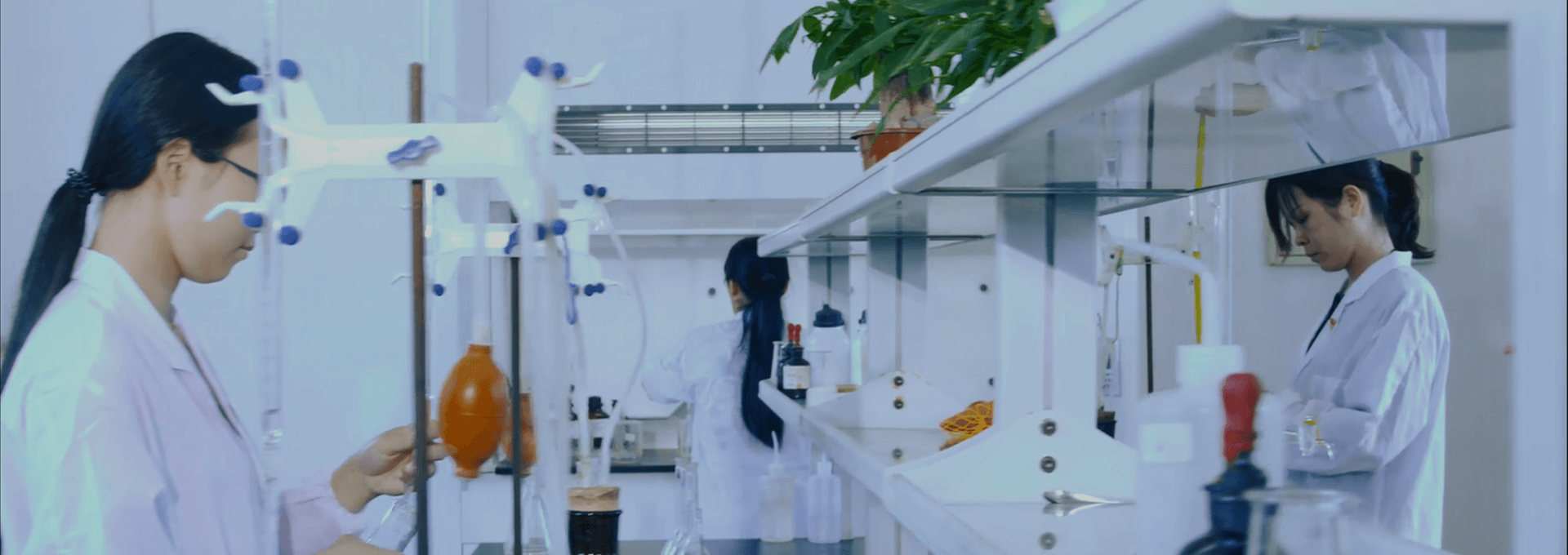 產(chǎn)品與服務