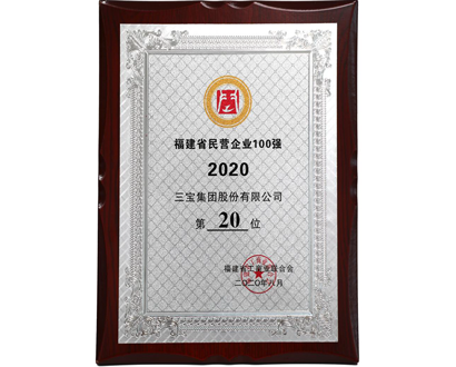 福建省民營(yíng)企業(yè)100強(qiáng)20位
